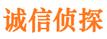 青龙侦探公司